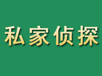 齐河市私家正规侦探